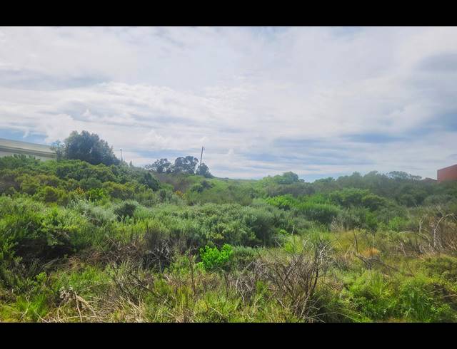 586M² VACANT LAND FOR SALE IN BOGGOMSBAAI